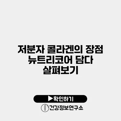 저분자 콜라겐의 장점 뉴트리코어 담다 살펴보기