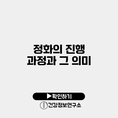 정화의 진행 과정과 그 의미
