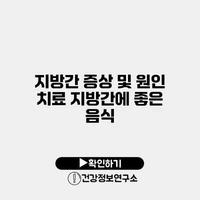 지방간 증상 및 원인 치료 지방간에 좋은 음식