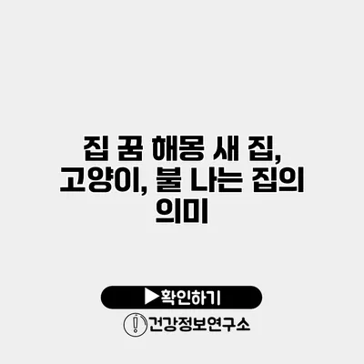 집 꿈 해몽 새 집, 고양이, 불 나는 집의 의미