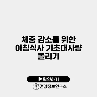 체중 감소를 위한 아침식사 기초대사량 올리기