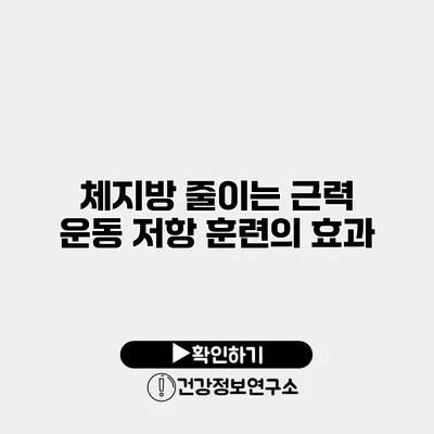 체지방 줄이는 근력 운동 저항 훈련의 효과