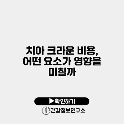 치아 크라운 비용, 어떤 요소가 영향을 미칠까?