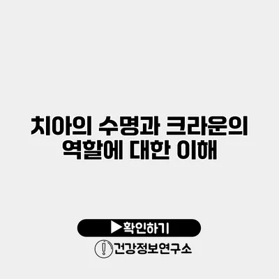 치아의 수명과 크라운의 역할에 대한 이해