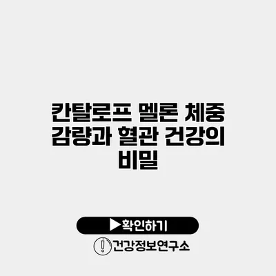칸탈로프 멜론 체중 감량과 혈관 건강의 비밀