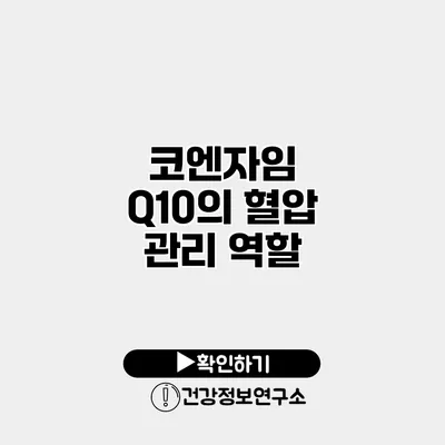 코엔자임 Q10의 혈압 관리 역할