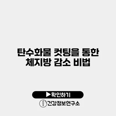 탄수화물 컷팅을 통한 체지방 감소 비법