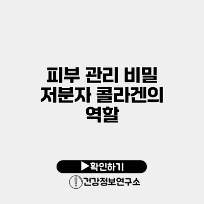 피부 관리 비밀 저분자 콜라겐의 역할