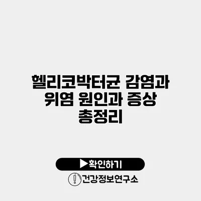 헬리코박터균 감염과 위염 원인과 증상 총정리