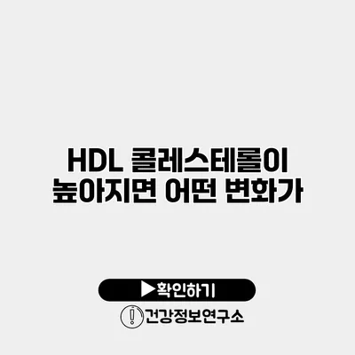 HDL 콜레스테롤이 높아지면 어떤 변화가?