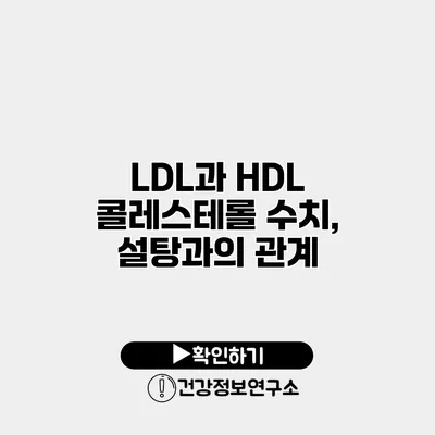 LDL과 HDL 콜레스테롤 수치, 설탕과의 관계