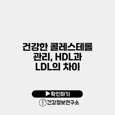 건강한 콜레스테롤 관리, HDL과 LDL의 차이