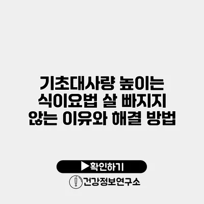 기초대사량 높이는 식이요법 살 빠지지 않는 이유와 해결 방법