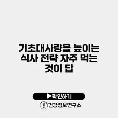 기초대사량을 높이는 식사 전략 자주 먹는 것이 답?