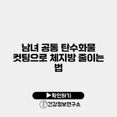 남녀 공통 탄수화물 컷팅으로 체지방 줄이는 법