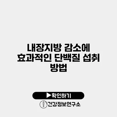 내장지방 감소에 효과적인 단백질 섭취 방법