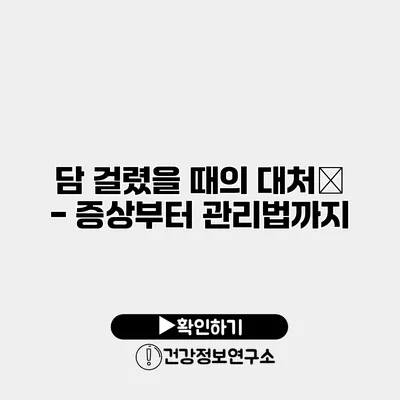 담 걸렸을 때의 대처法 - 증상부터 관리법까지