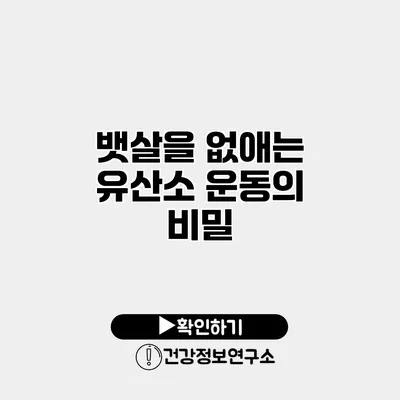 뱃살을 없애는 유산소 운동의 비밀
