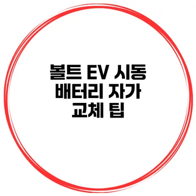 볼트 EV 시동 배터리 자가 교체 팁