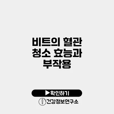 비트의 혈관 청소 효능과 부작용