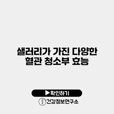 샐러리가 가진 다양한 혈관 청소부 효능