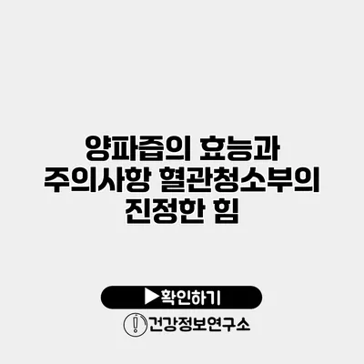 양파즙의 효능과 주의사항 혈관청소부의 진정한 힘