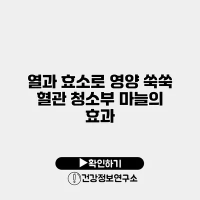 열과 효소로 영양 쑥쑥 혈관 청소부 마늘의 효과
