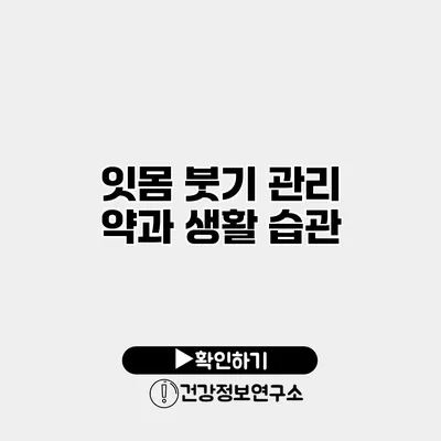 잇몸 붓기 관리 약과 생활 습관
