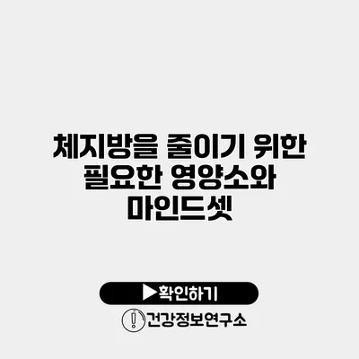 체지방을 줄이기 위한 필요한 영양소와 마인드셋