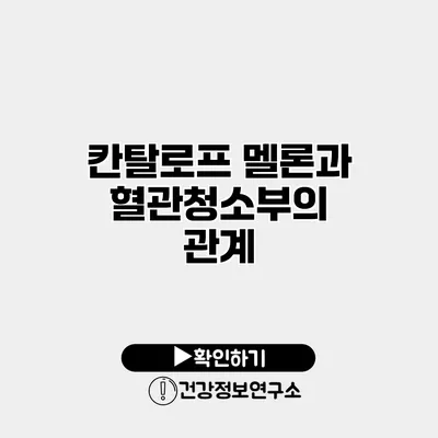 칸탈로프 멜론과 혈관청소부의 관계