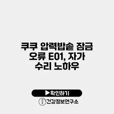 쿠쿠 압력밥솥 잠금 오류 E01, 자가 수리 노하우